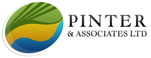 Pinter & Associates Ltd.